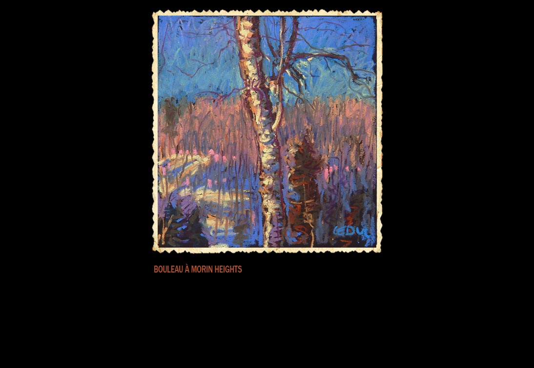 bouleau  morin heights